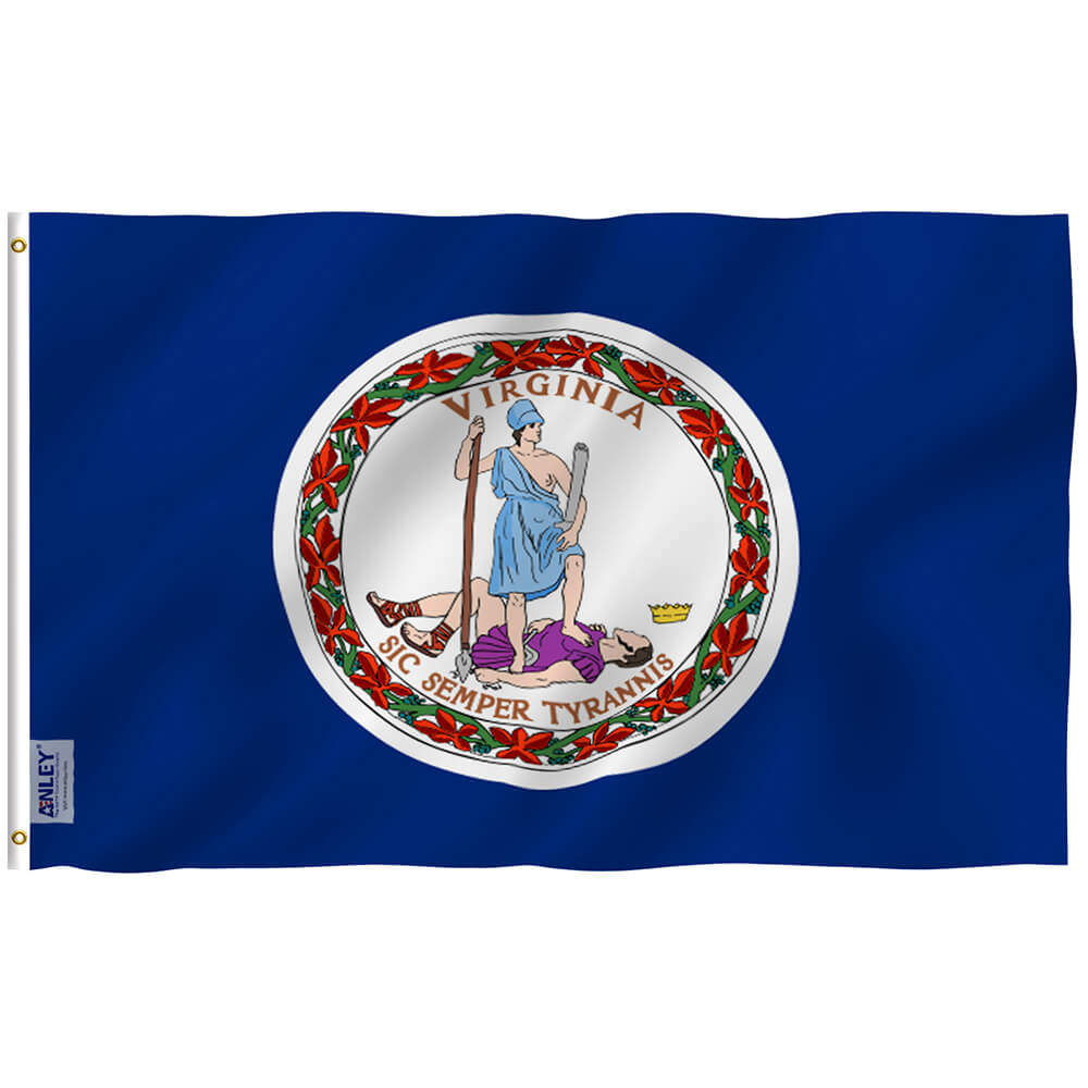 Anley Fly Breeze 3x5 Foot Chicago City Win Combo Flag - W Flags