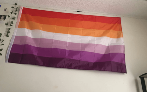Anley 3x5 Feet Progress Pride Flag - Rainbow Transgender Lesbian LGBT Flag  Polyester 