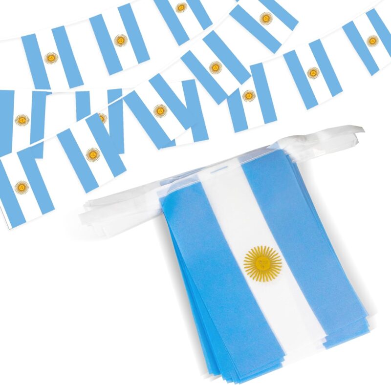 Argentina String Flag